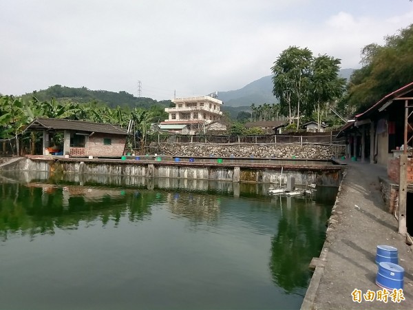 集集鎮舉辦建醮,經營釣魚場的業者為此公休三天,廣闊魚塭只見座椅不見釣客。。(記者劉濱銓攝)