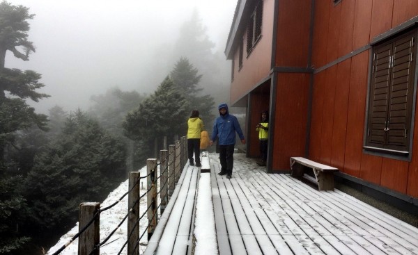 玉山今日再飄降白雪,令排雲山莊山友驚喜不已。(記者謝介裕翻攝)