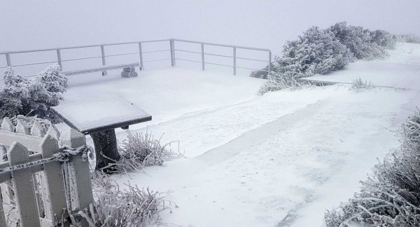 玉山今日再飄降白雪,玉山群峰呈現雪白北國風情。(記者謝介裕翻攝)