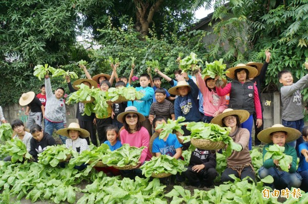 饒平國小有機菜園收成,小朋友下田採菜。(記者詹士弘攝)