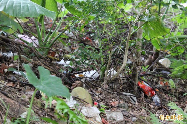 國道3號關西服務區坦承因欠缺密閉式垃圾堆置場,有些垃圾確實會被強勁的東北季風颳入邊坡草叢,今天下午他們已經緊急清除乾淨。(記者黃美珠攝)