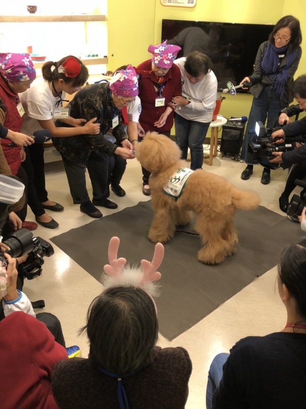 中華民國職能治療師公會全聯會理事長張自強指出，動物輔助治療日漸普遍。（中華民國職能治療師公會全聯會提供）