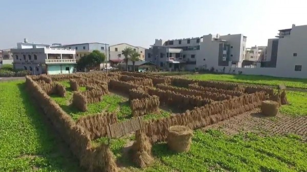 嘉義縣環保局以1個月時間在太保市中興路旁農田打造一座大型稻草迷宮，12月15日起至29日每天上午9點到下午4點對外開放。（嘉義縣政府提供）