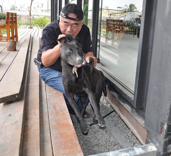 小組大隊長倪兆成從木造砧板中央救出傷犬送醫，經1個多月治療後，傷犬今已完全康復。 （台灣動物緊急救援小組提供）