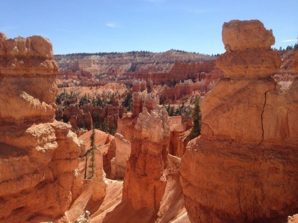 搭直升機俯瞰大峽谷被國人選為10大必遊清單。(業者提供)