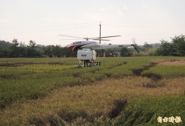 無人機示範農噴。（記者楊金城攝）