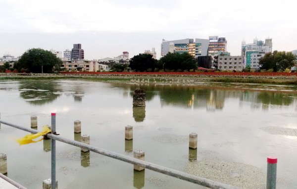 台糖大水池所在地的地下水豐富。（記者張菁雅攝）