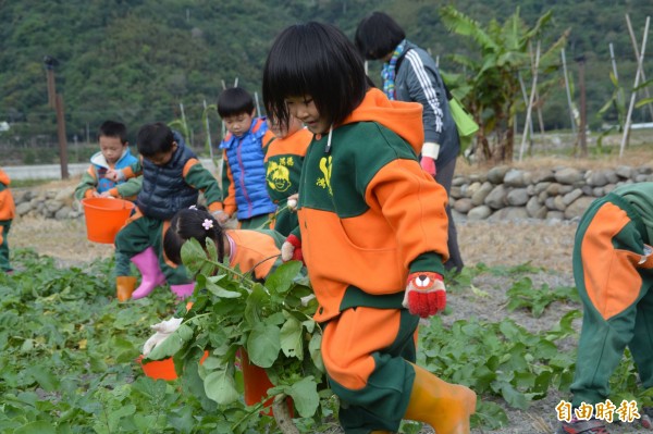 學童拔蘿蔔初體驗，覺得新鮮又好玩。（記者王秀亭攝）