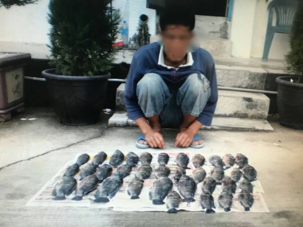 警民將該男子包圍逮捕，並起出35尾吳郭魚。（記者陳彥廷翻攝）