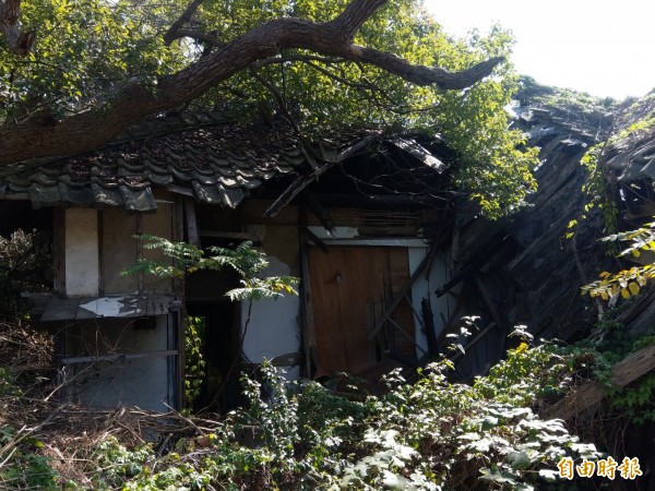 危險!通霄神社社務所、休憩所恐傾倒。圖為休憩所。(記者蔡政珉攝)