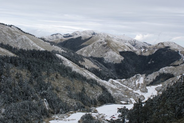 合歡山連日降雪,美景處處。(東勢林管處提供)