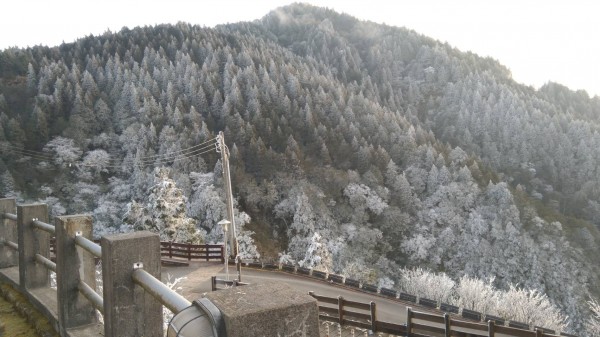 太平山山頭變白。(記者江志雄翻攝)