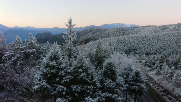 太平山今晨氣溫僅兩度,山頭仍有霧淞美景。(太平山莊提供)