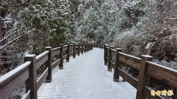 太平山今晨氣溫僅兩度,林間小徑出現霧淞美景。(太平山莊提供)