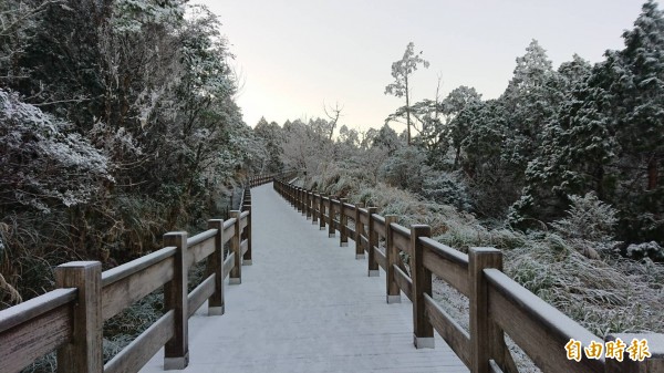 太平山今晨氣溫僅兩度,林間小徑出現霧淞美景。(太平山莊提供)
