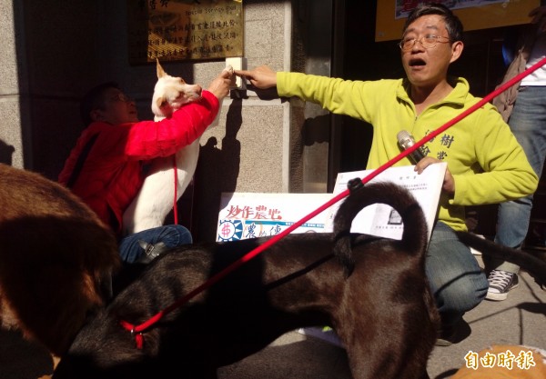 台灣樹人會秘書長潘翰疆（圖右）與新北市流浪貓狗再生保護協會理事長張慧敏（左）帶著毛小孩，到新北地檢署申告。（記者王定傳攝）