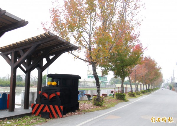 埔心鄉申請前瞻計畫,要將路面全面種植楓香,與興霖路以西路段連接一線,成為楓香大道!(記者陳冠備攝)