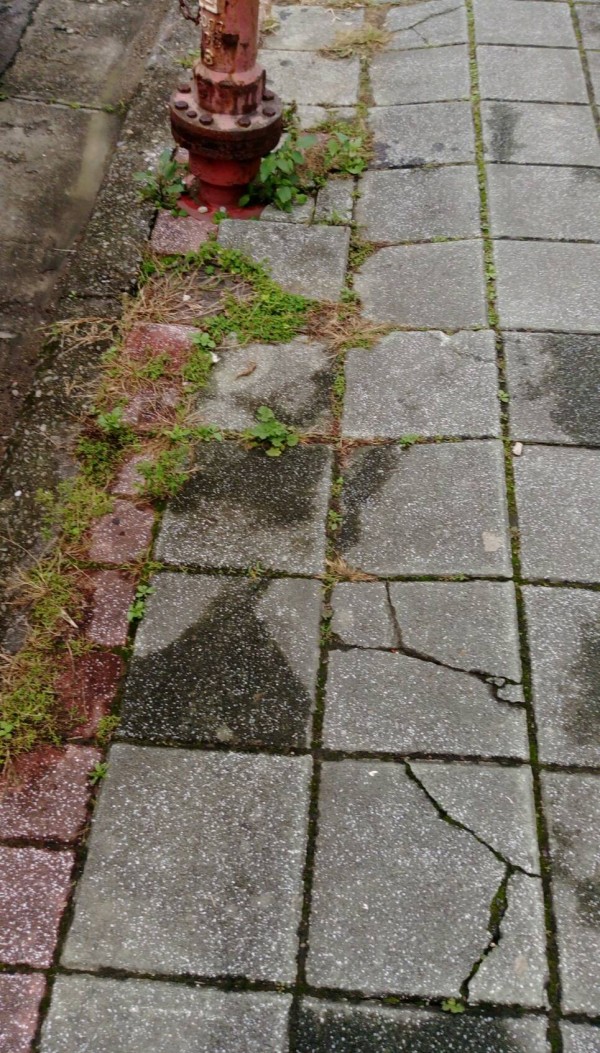 十興國小周邊的勝利一街等道路人行道有破損情況，竹北市公所今年將辦理改善工程，打造友善的通學廊道。（記者廖雪茹翻攝）