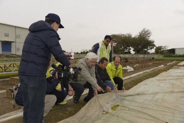 秧苗防寒方式主要係利用不織布、塑膠布覆蓋。（雲林縣政府提供）