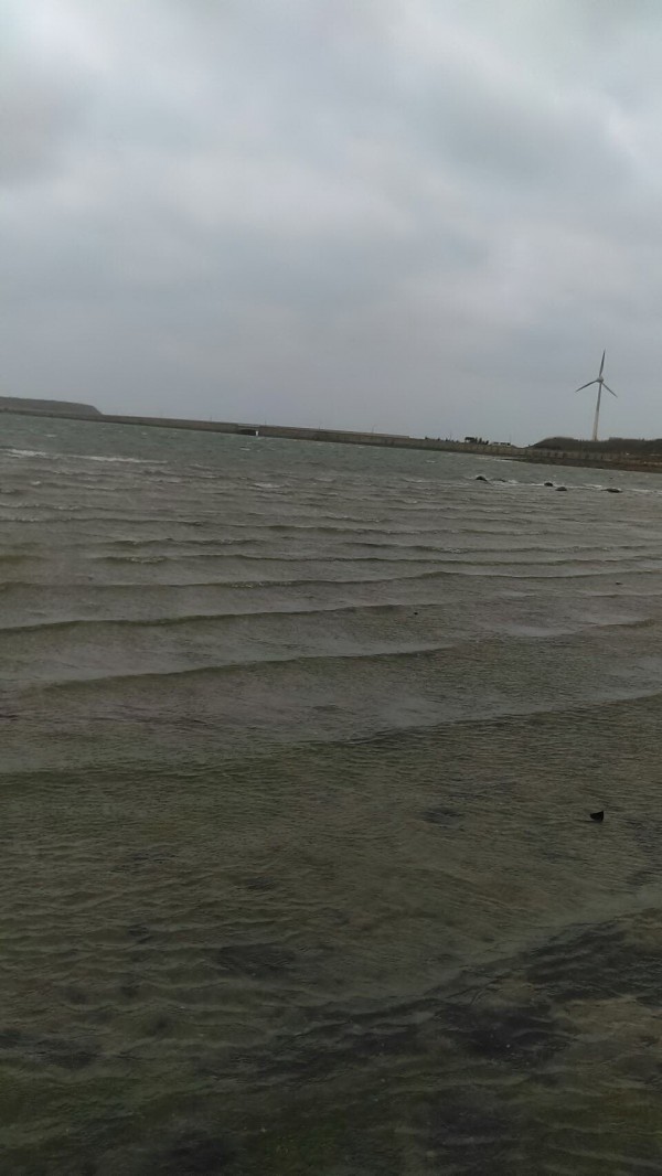 澎湖海洋生物研究中心針對海水溫度，已發出低溫通報，呼籲養殖業者注意寒害。（陳憬賢提供）