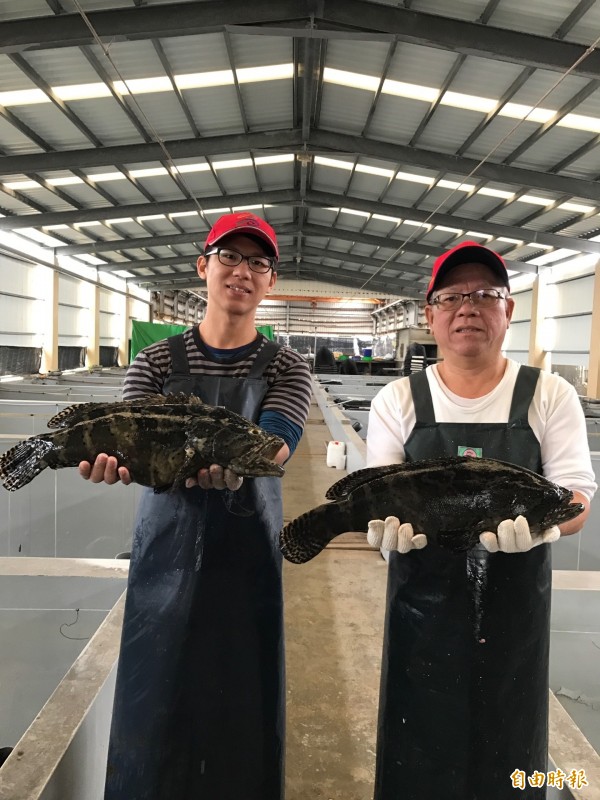 林園養殖業者蘇有元（右）自豪台灣龍虎斑「吃起來像野生的」。（記者洪臣宏攝）