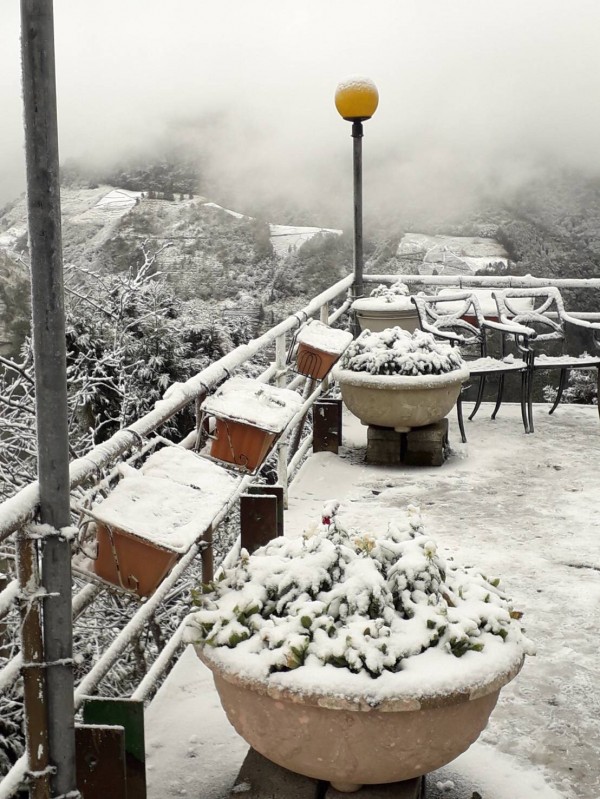 恩愛農場覆蓋白雪，遊客在此即可就在玩雪。（恩愛農場提供）