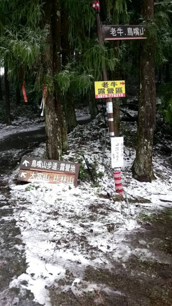 謝嫌和張嫌共組的盜伐集團認為天寒地凍，加上山區警力薄弱有機可趁，沒想到新竹縣警方專案小組5日在積雪的山區臥冰埋伏。（記者廖雪茹翻攝）