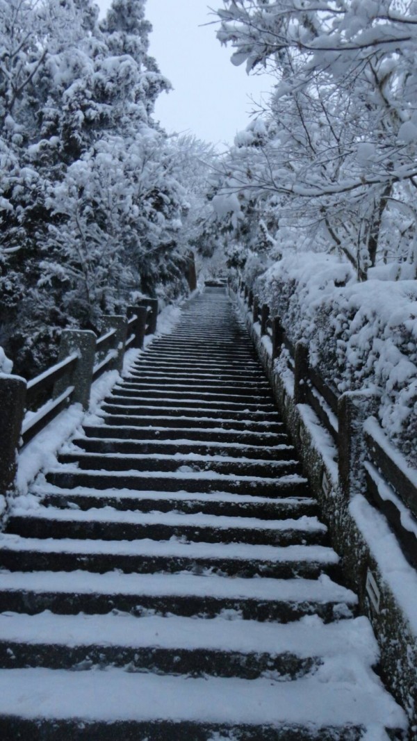 中央階梯積雪硬化成了冰梯。(記者江志雄翻攝)
