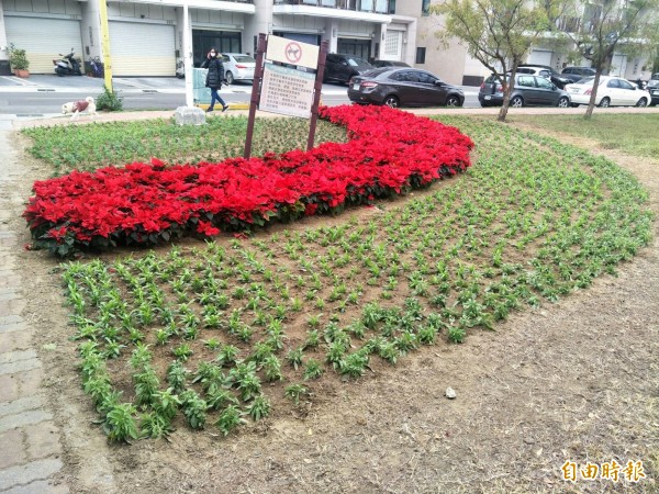 工務局在永康小橋公園布置花卉迎春。（記者洪瑞琴攝）