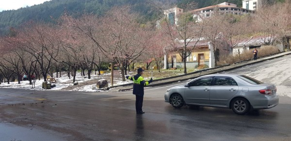 警方配合武陵櫻花季，將實施交通疏導管制。（和平分局提供）