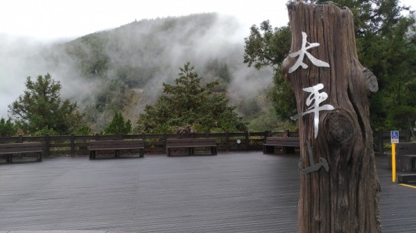 太平山生態環境完整多元。（圖由羅東林管處提供）