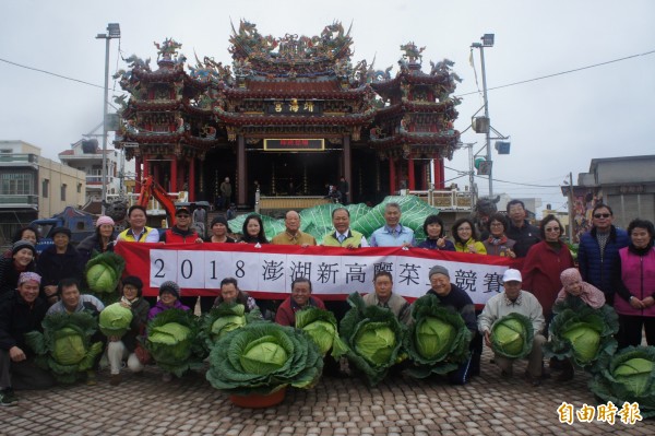 澎湖新高麗菜王競賽，在馬公烏崁社區舉行。（記者劉禹慶攝）