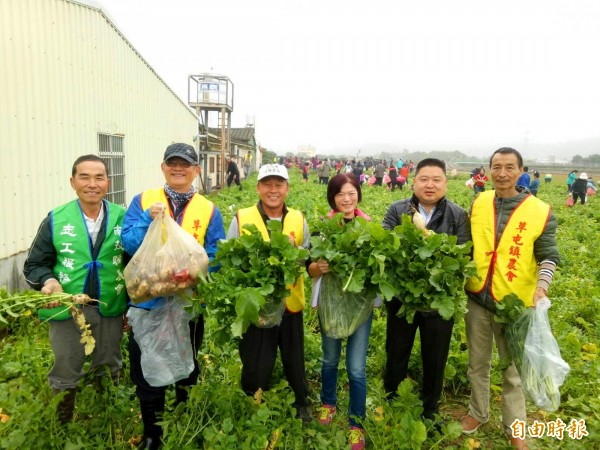 草屯鎮農會理事長陳文忠（右二）等人，也加入拔菜頭行列。（記者陳鳳麗攝）