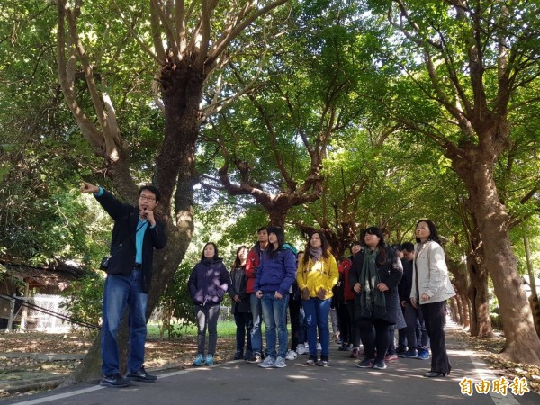 虎尾糖廠人員為雲林家扶社工導覽虎尾最美的糖廠林蔭大道。（記者廖淑玲攝）