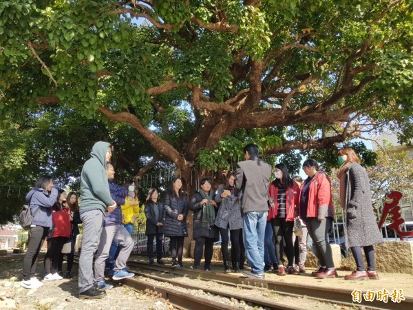 虎尾糖廠茄苳夫妻樹，讓雲林家扶社工見證百年「伉儷情深」。（記者廖淑玲攝）