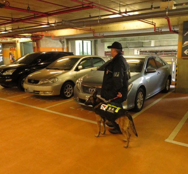 烏日分局在春節期間，安排警犬在高鐵台中站區內停車場巡邏，一起維護高鐵站治安。（記者陳建志翻攝）