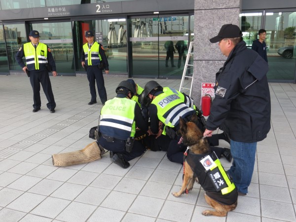 烏日分局近日在高鐵台中站進行演練，警犬「沙瓦」將歹徒撲倒後，由員警上前將他制伏。（記者陳建志翻攝）