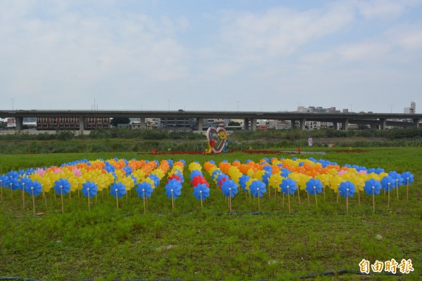 大里區公所在大里溪畔營造4公頃花海，現場布置漂亮的風車。（記者陳建志攝）