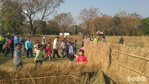 大人小孩爭相走稻草迷宮。（記者廖淑玲攝）