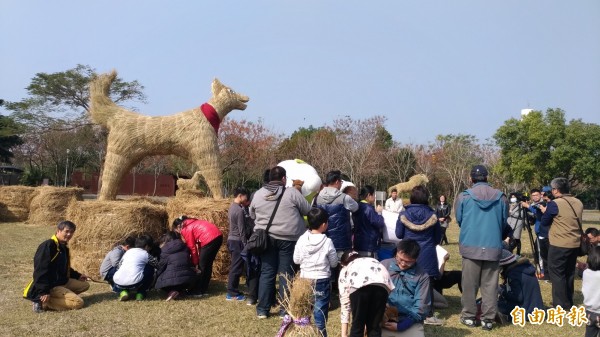 全國獨一無二的4米高稻草狗登場，令人豔。（記者廖淑玲攝）