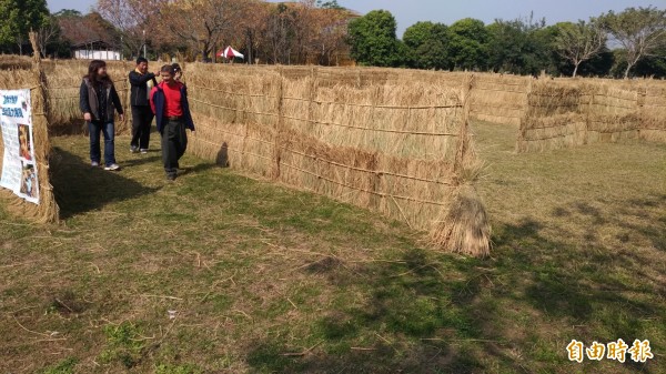 稻草迷宮吸引民眾先體驗。（記者廖淑玲攝）