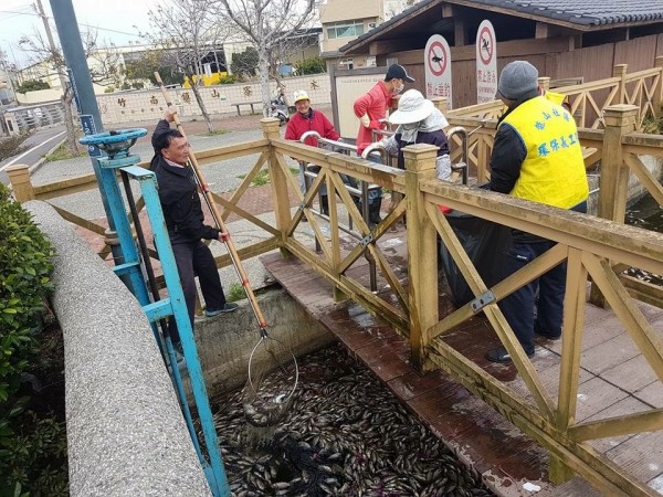 苗栗縣竹南鎮的鈴木埤生態水岸休憩公園，大年初二再度傳出魚群大量暴斃，死亡魚群漂流河面，估至少破百隻。（記者鄭名翔翻攝）