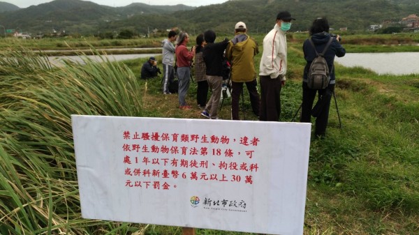 動保處在賞鳥熱點設置禁止騷擾野生動物告示牌，提醒民眾尊重野生動物。（圖由新北市政府動保處提供）