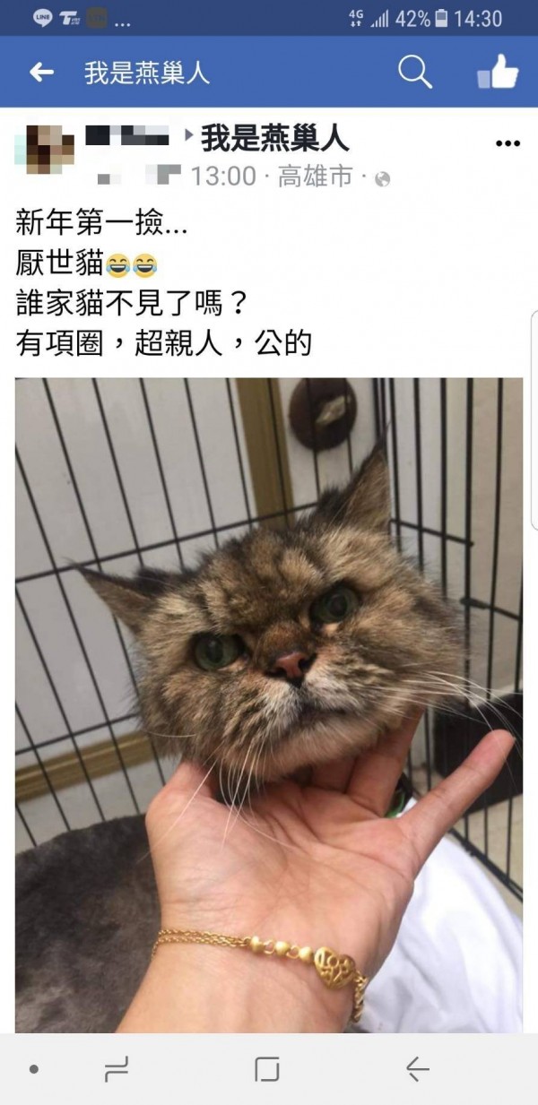 陳女將撿到走失猫的訊息PO在臉書社團。（記者黃佳琳翻攝）