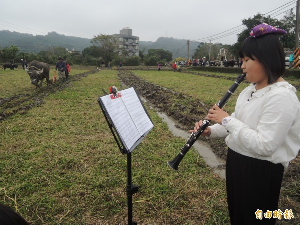 在體驗水牛犁田之際，音樂人站在田梗上即興表演，與大自然對話。（記者廖雪茹攝）