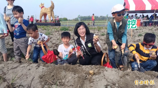 雲林縣政府秘書長黃玉霜帶著小朋友下田開心挖馬鈴薯。（記者廖淑玲攝）