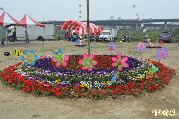 大里溪畔的花海盛開，歡迎民眾來賞花、踏青。（記者陳建志攝）