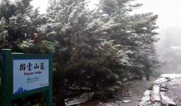 玉山排雲山莊因冷氣團來襲,今日也下雪,令山友驚喜不已。(記者謝介裕翻攝)