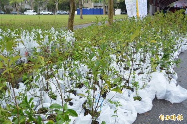 花蓮林管處今年以「再現台灣原生綠」為主題，將在東華大學校園陸續種下5600多棵苗木，盼能打造全台最具「森林味」的學校。 （記者王峻祺攝）