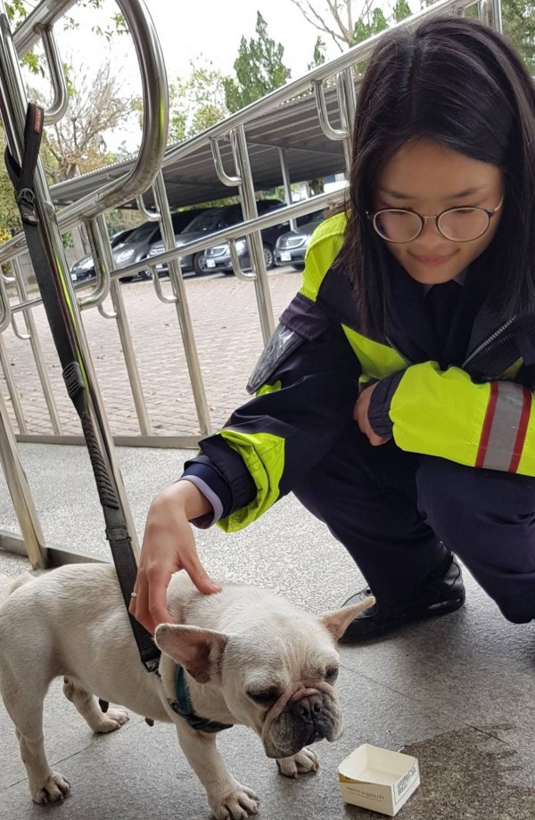 廖怡蘋商請同僚幫她與迷途狗狗拍照，隨後PO上LINE群組找尋飼主。（記者陳賢義翻攝）